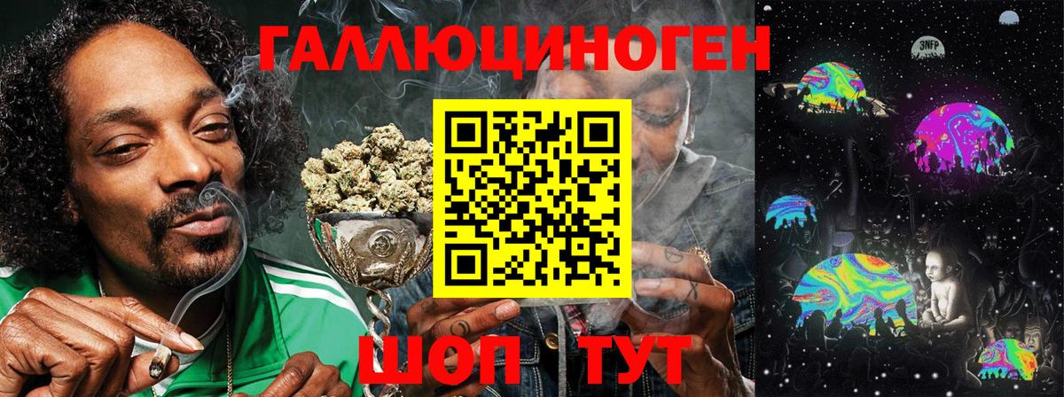 Псилоцибиновые грибы мухоморы  Вход с VPN  Сыктывкар  Псилоцибиновые грибы прущие грибы 