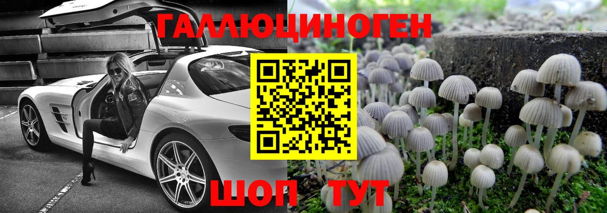 Галлюциногенные грибы GOLDEN TEACHER Сыктывкар