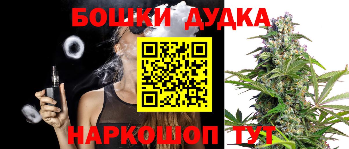 Конопля сатива Сыктывкар
